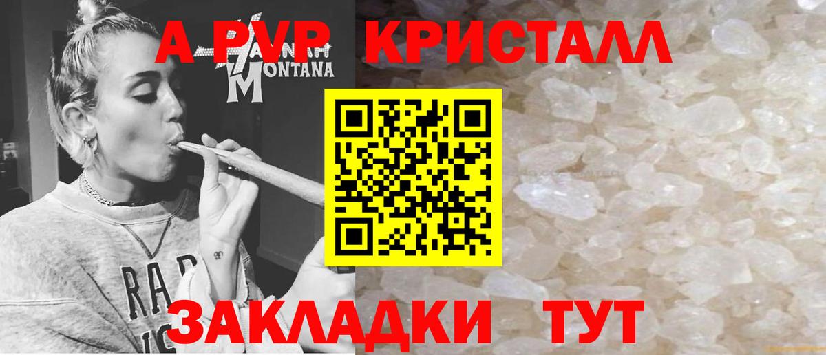 APVP СК Алейск