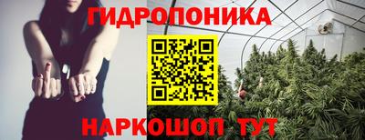 мяу мяу мука Абакан