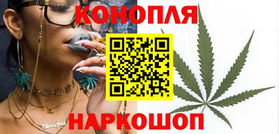 прущие грибы Абинск