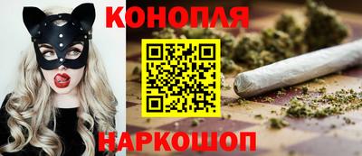 прущие грибы Абинск